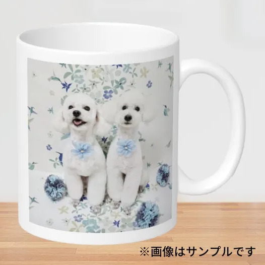 あなただけのオリジナルグッズが作れる！<br>【Northmallオリジナル】カスタマイズマグカップ(※送料込)