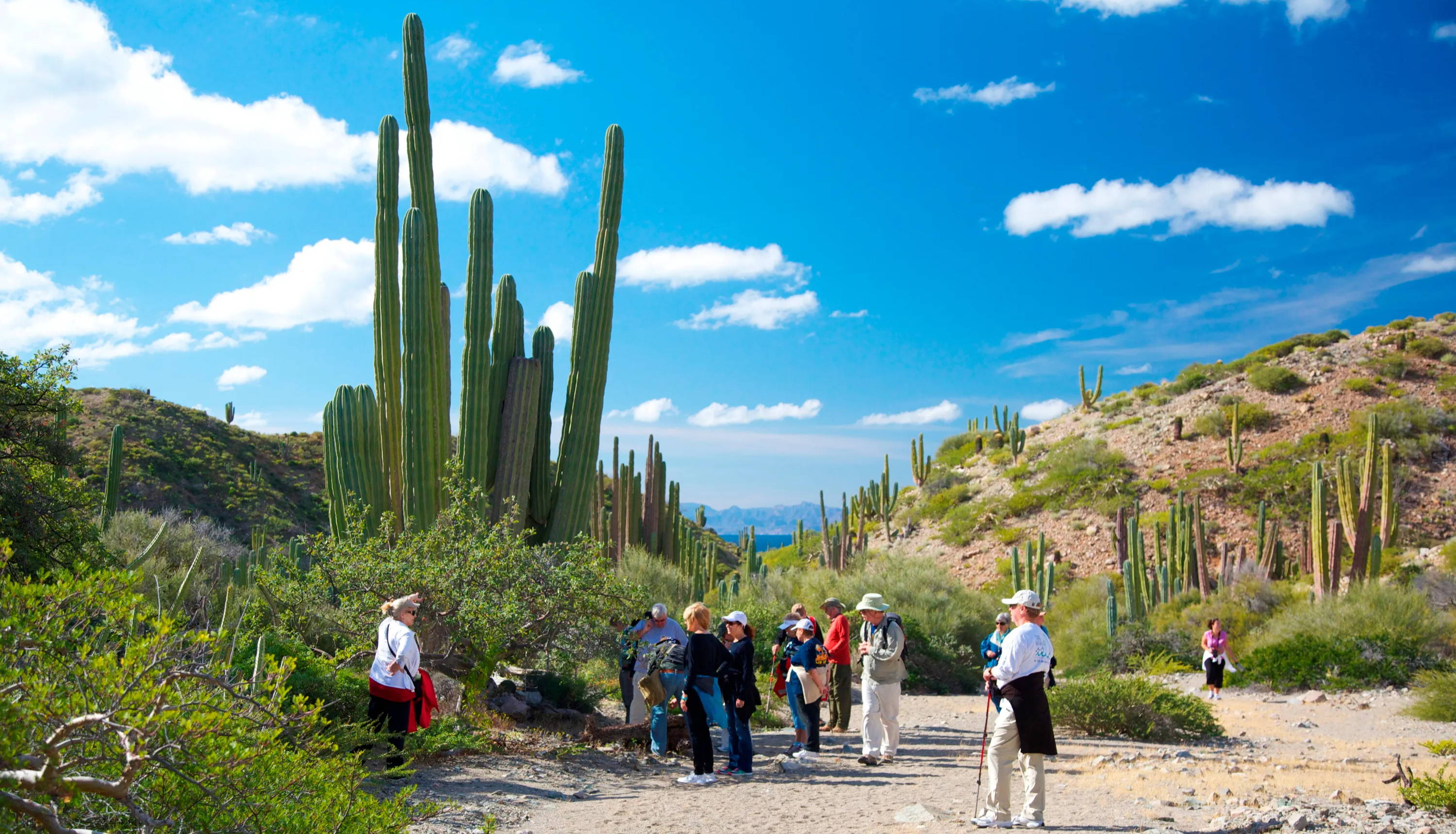 baja adventure cruise