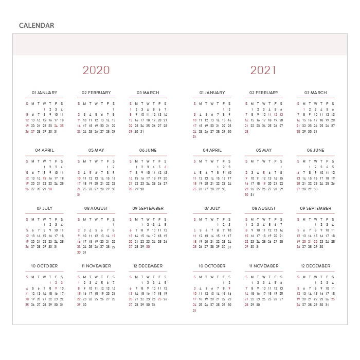 Calendar - 2020 Prism Slim Diary