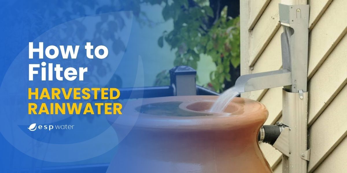 Best water filtration for harvested rainwater