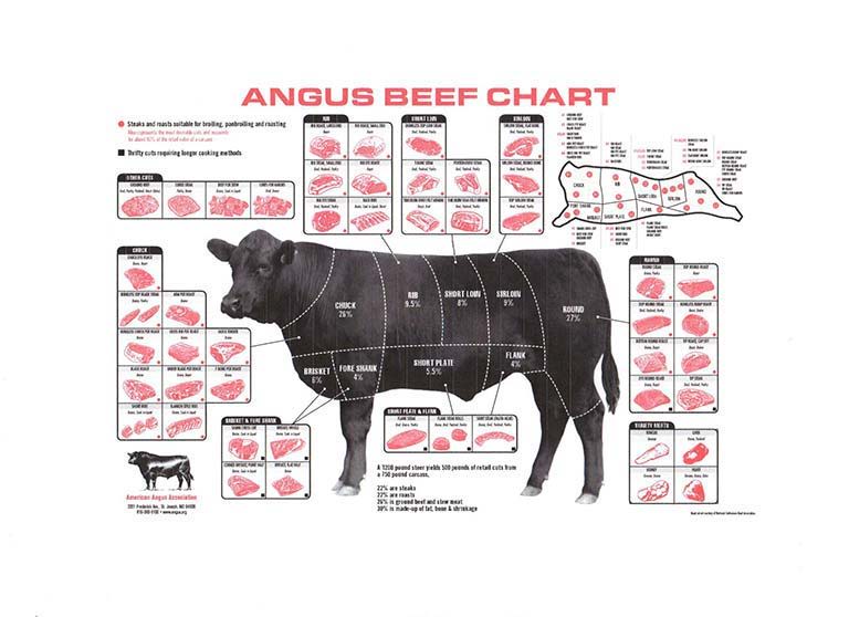 Angus beef chart showing different cuts of beef