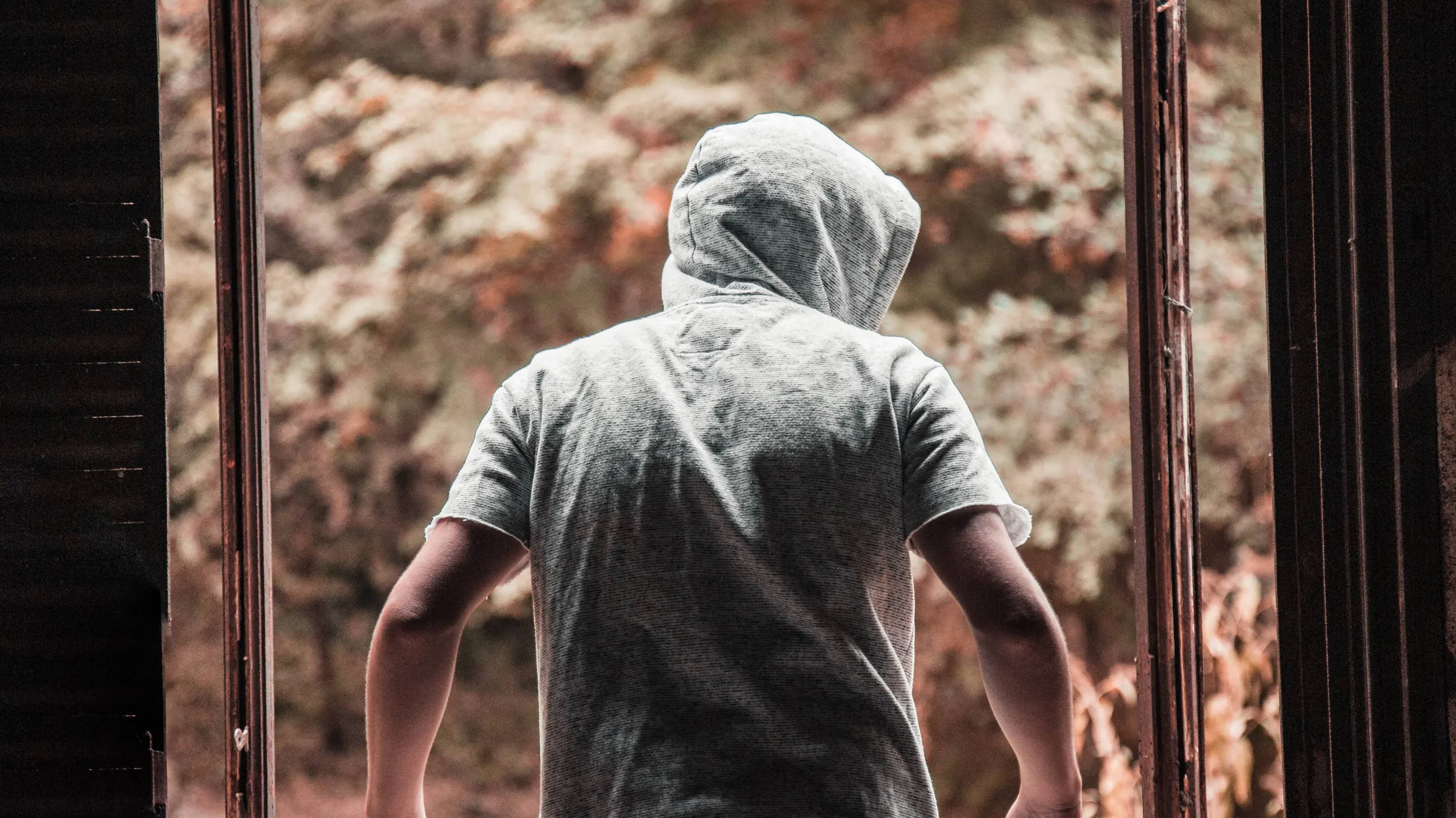 Which houses do burglars avoid?
