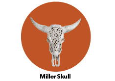 Miller Skull