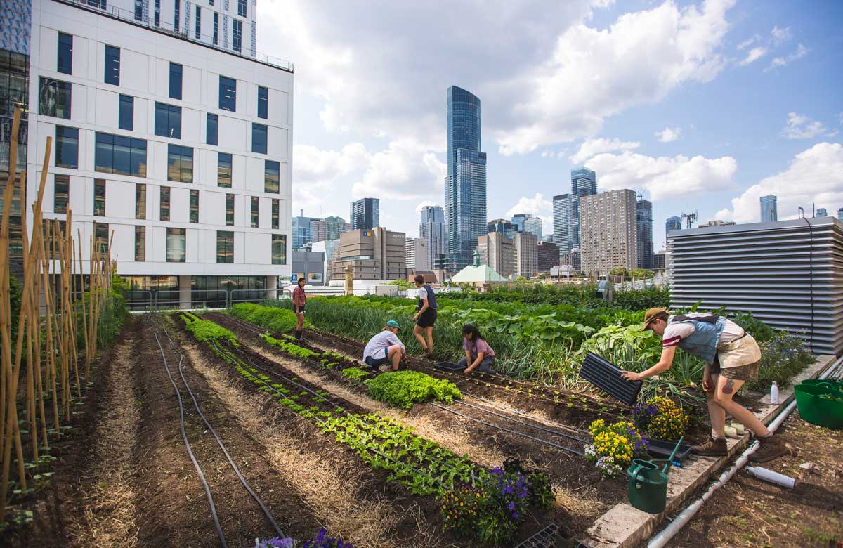 A food roof in the middle of a downtown city