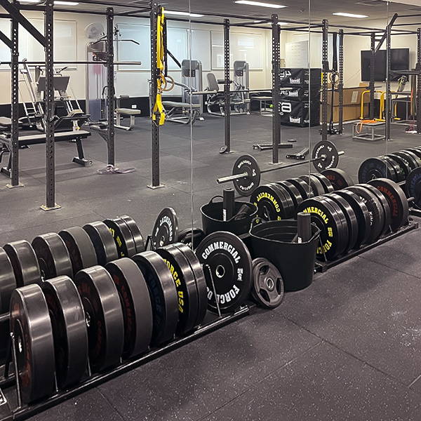 High School Gym Fit Out Weight Plates
