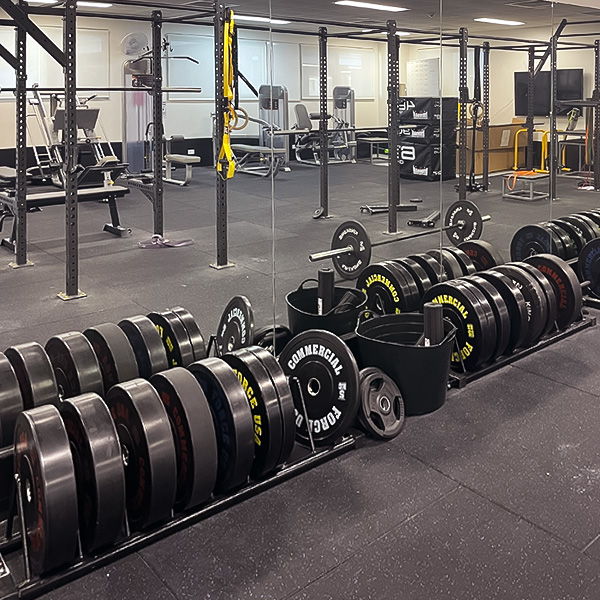 Picton High School gym fitout