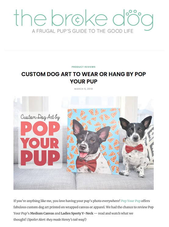 the broke dog blog featuring pop your pup