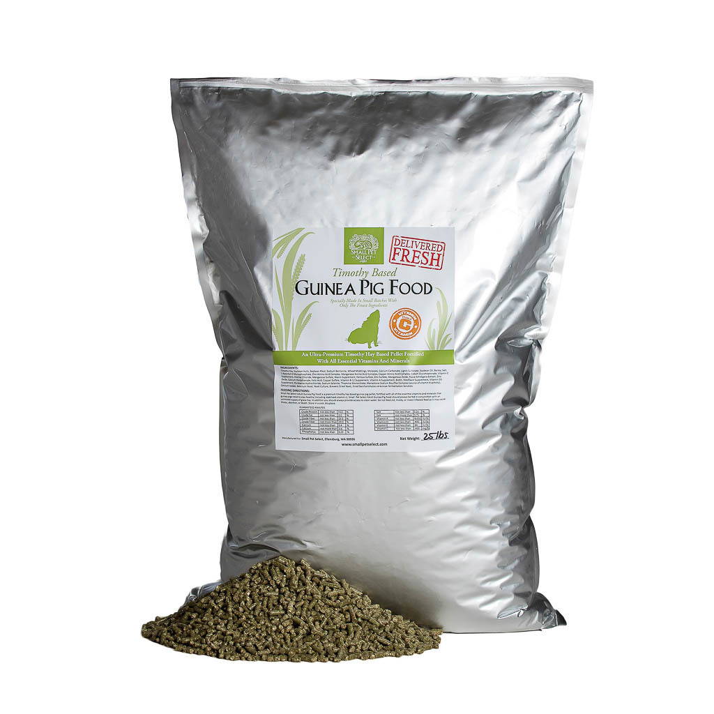 guinea pig food