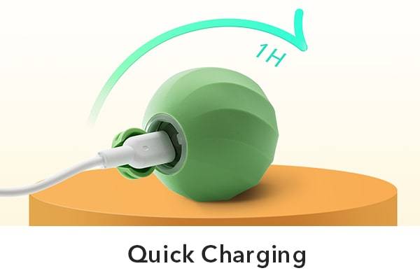 Quick Charging