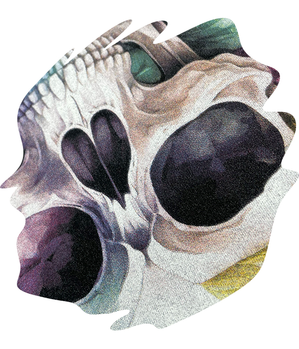 Full colour skull illustration screen printed using CMYK process showing detailed shading and tonal depth