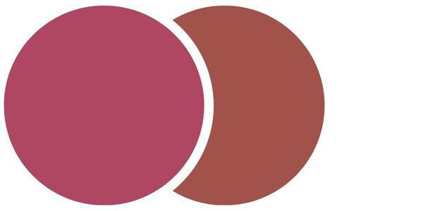 Swatches of cinnamon rose and terracotta wedding palette