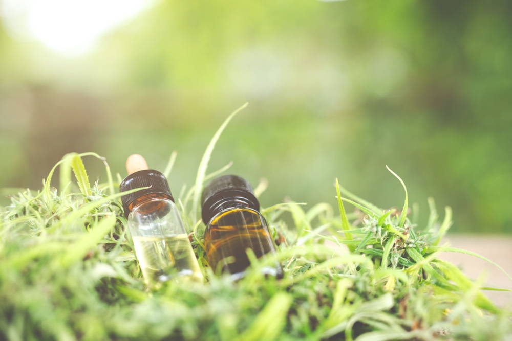 cbd oil