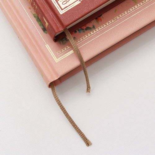 Golden ribbon bookmark - Classic Anne story undated daily diary journal