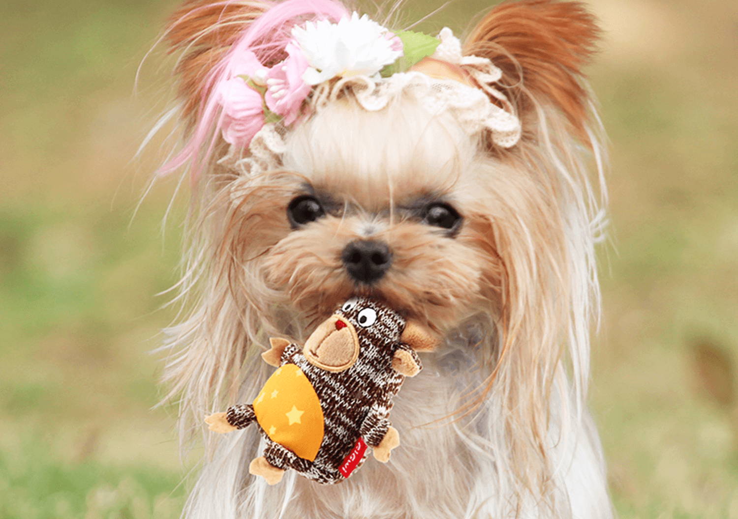 Gigwi 睡衣派對啾啾寵物玩具 企鵝 毛起來 寵你與毛孩多更多 毛起來maoup