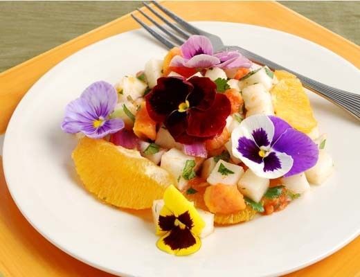 Colorful salad garnished with edible flowers on a white plate.