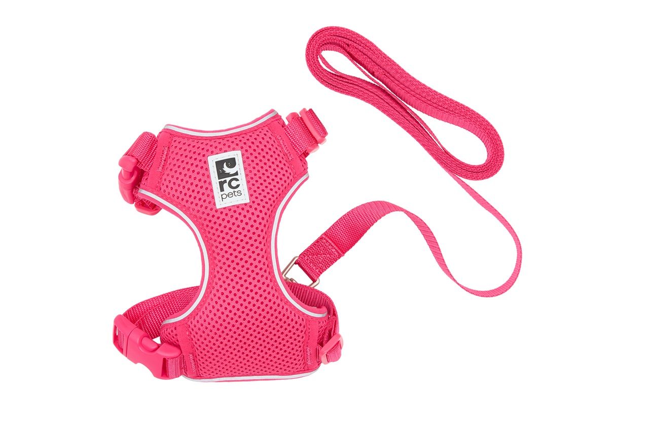 Pink pet harness with leash attached.
