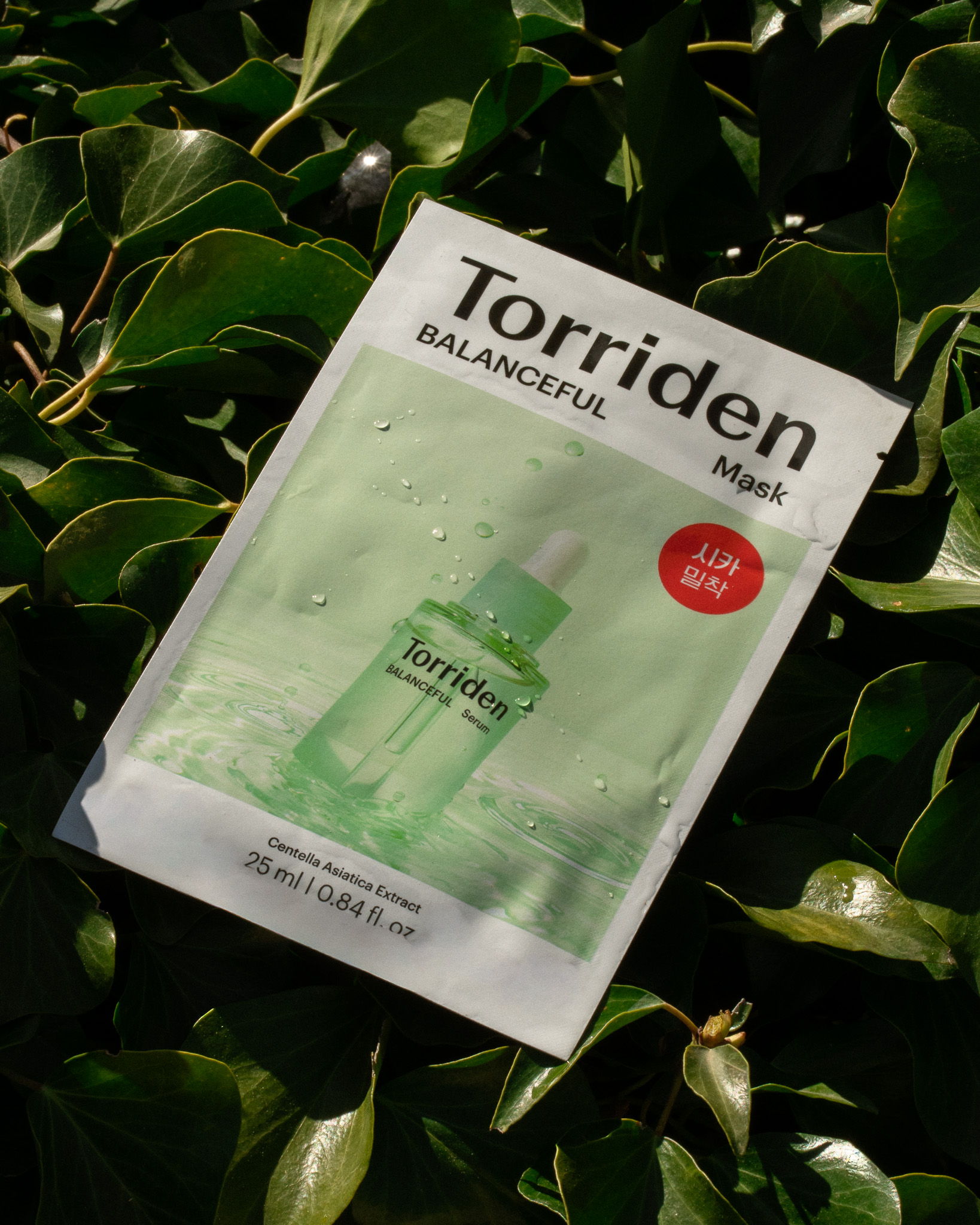 #seo: Torriden mask