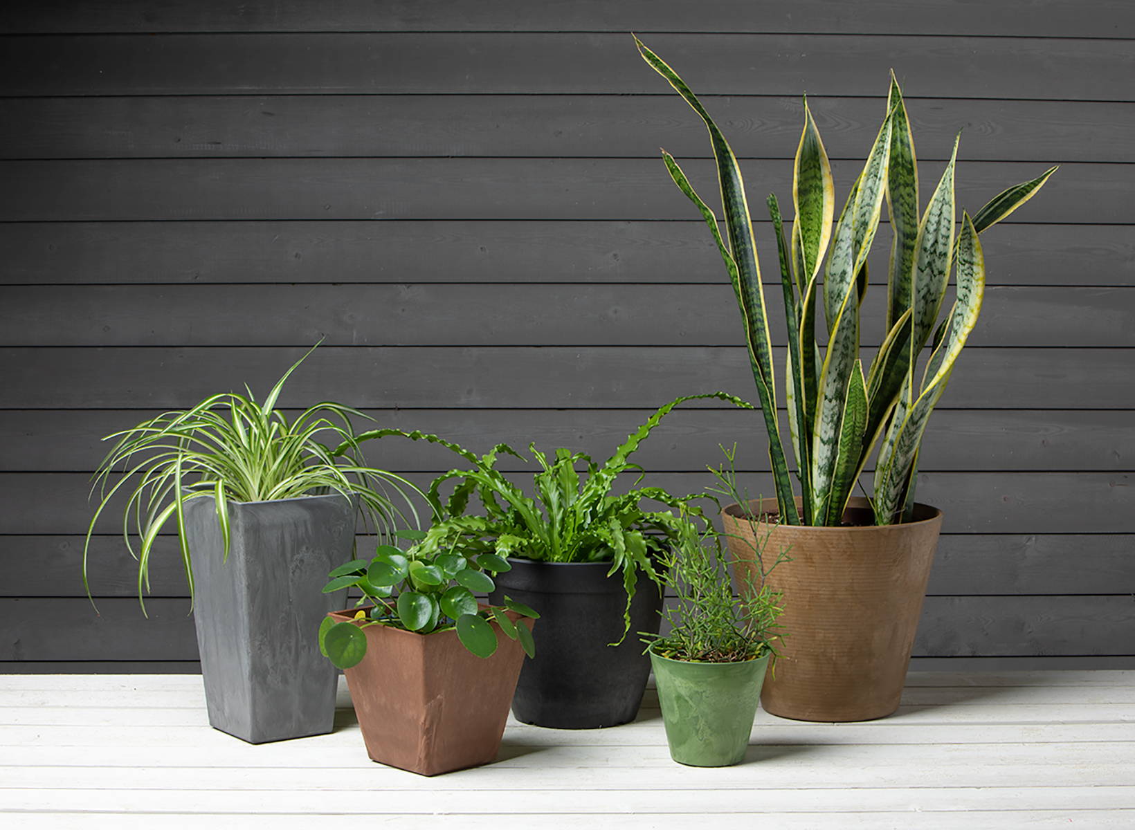 Plants growing in different styles of Artstone planters, including Ella Tall planter, Ella Square planter, Dolce round planter, Cali Round planter, and a Napa Round planter