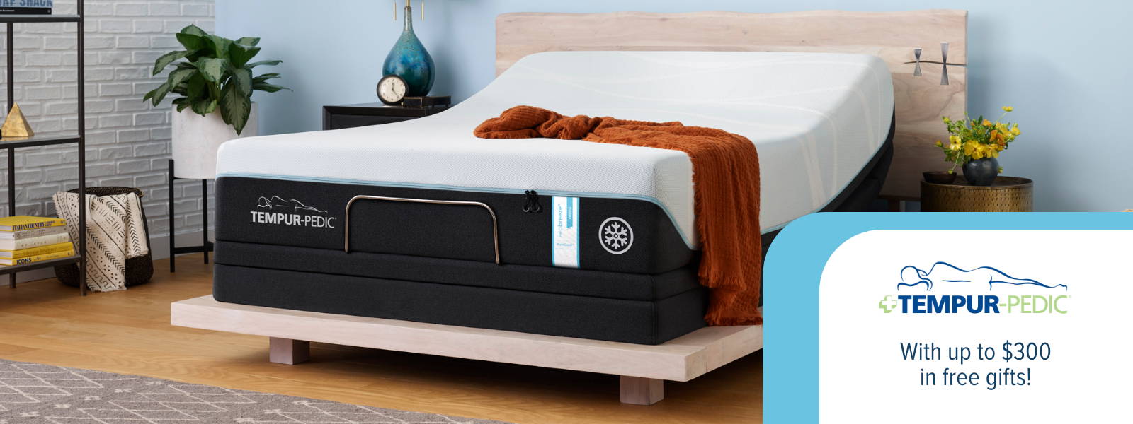 Bed Store Knoxville Matres Image
