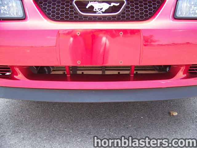 Compressor and air system detail for Shocker XL on Ford Mustang HornBlasters gallery photo 5