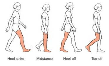 walking gait image