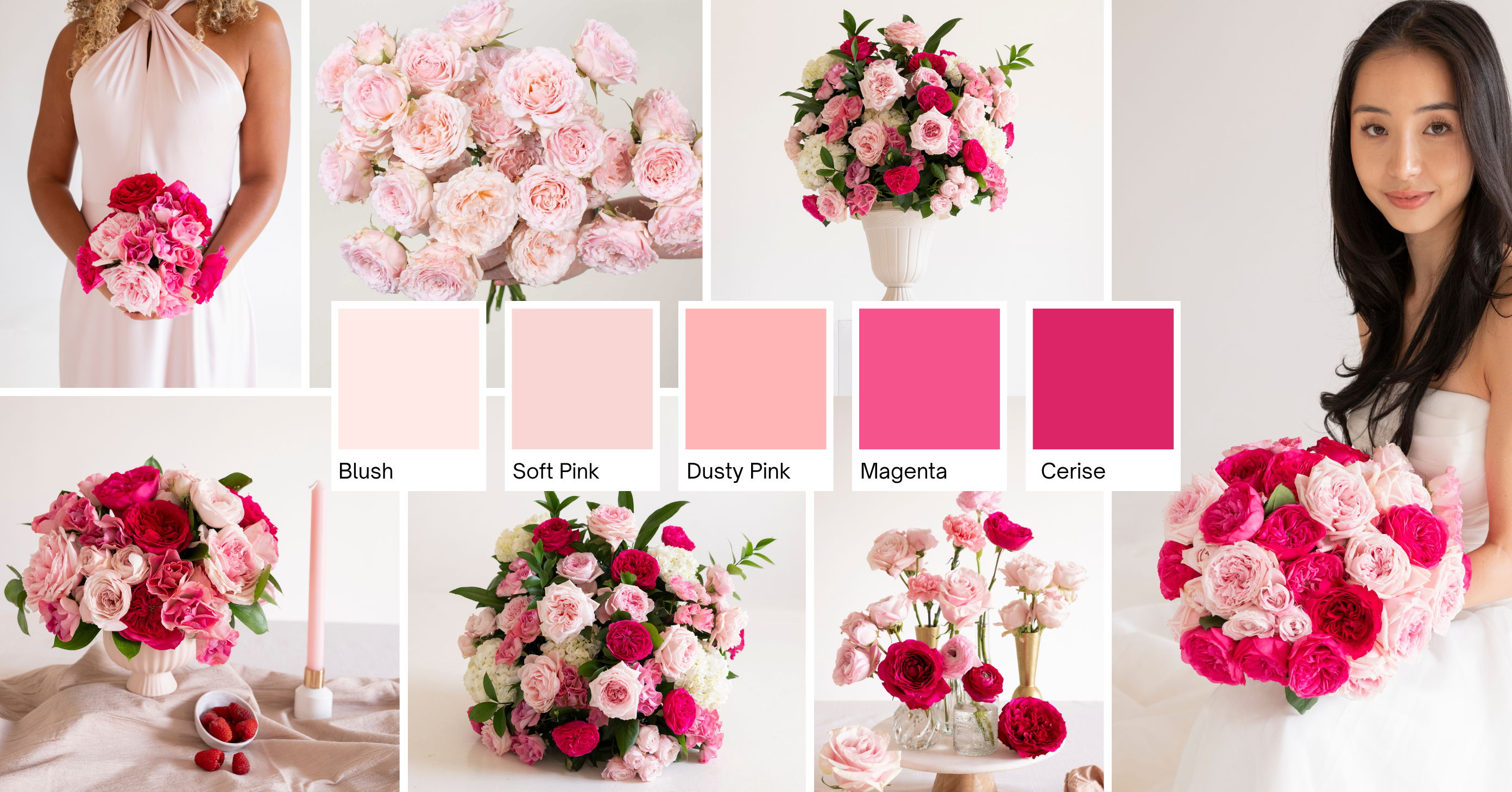 Deep Pink Garden Rose