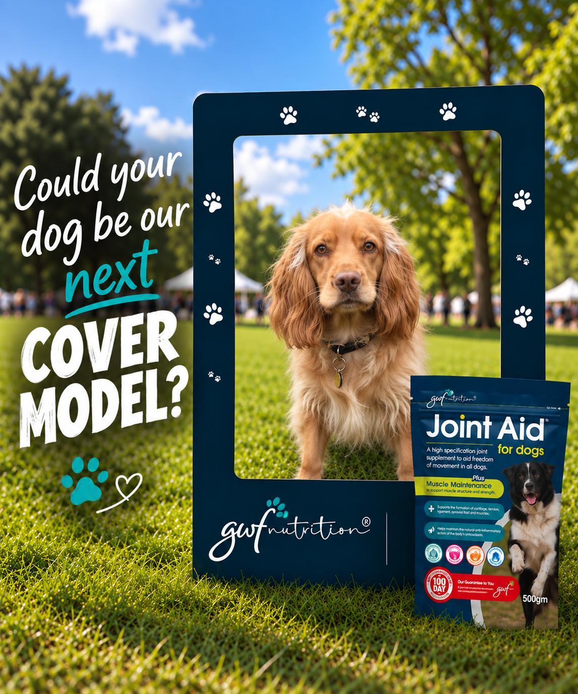 Enter our Joint Aid competition