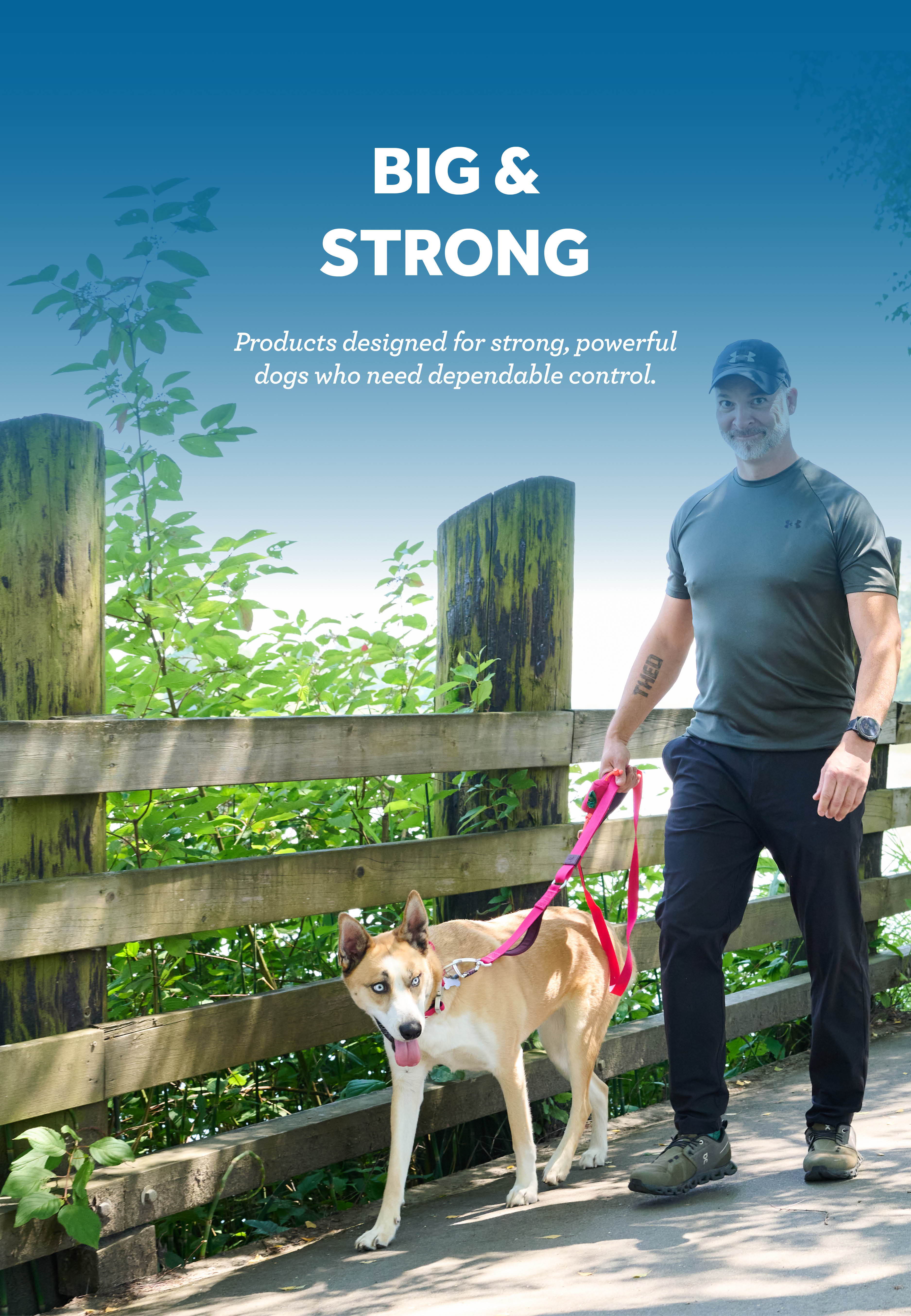 A person walking a dog on a path beside a wooden fence.