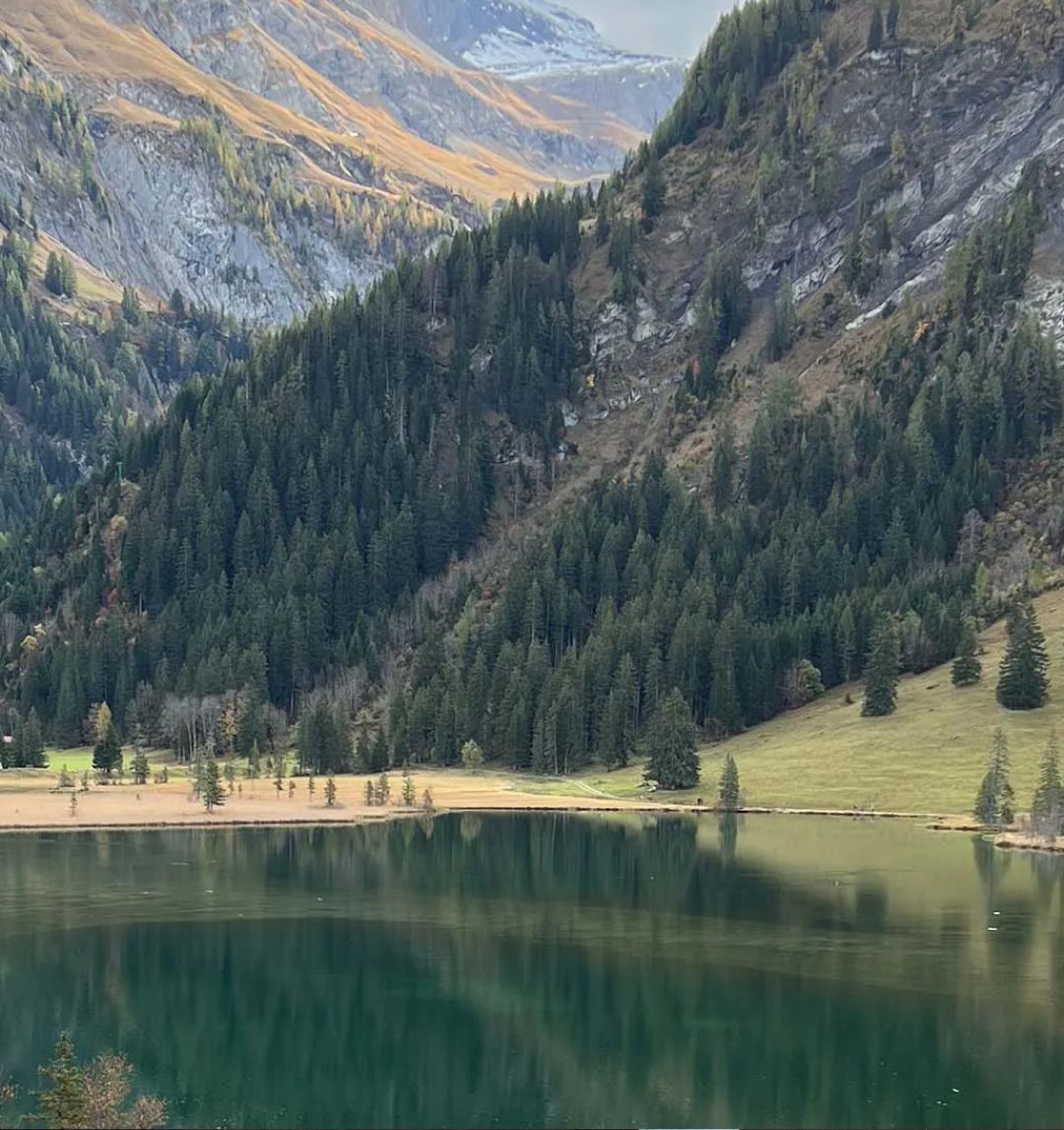 Scenic view of a lake surrounded by mountains and forests.