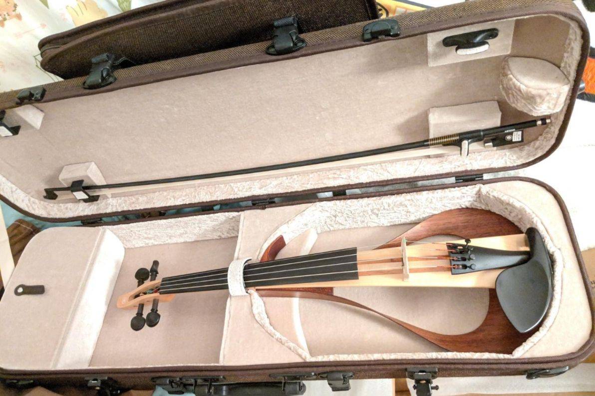 Best electric violin cases