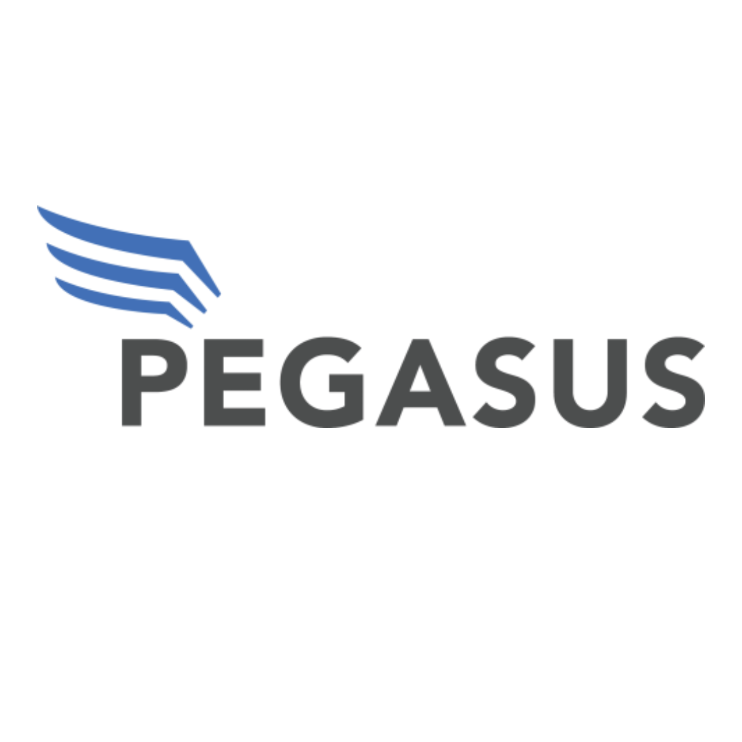 Logo of Pegasus featuring wings and the word 