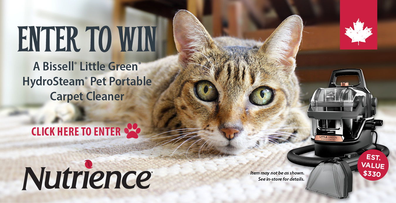 Enter to win a Bissell Little Green HydroSteam Pet Portable Carpet Cleaner sponsored by Nutrience. Est. Value $330. See in-store for details. Enter in-store or click here to enter online.