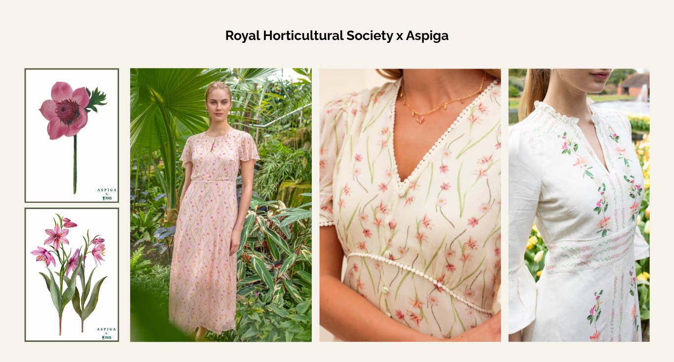 Aspiga x RHS collaboration 2026