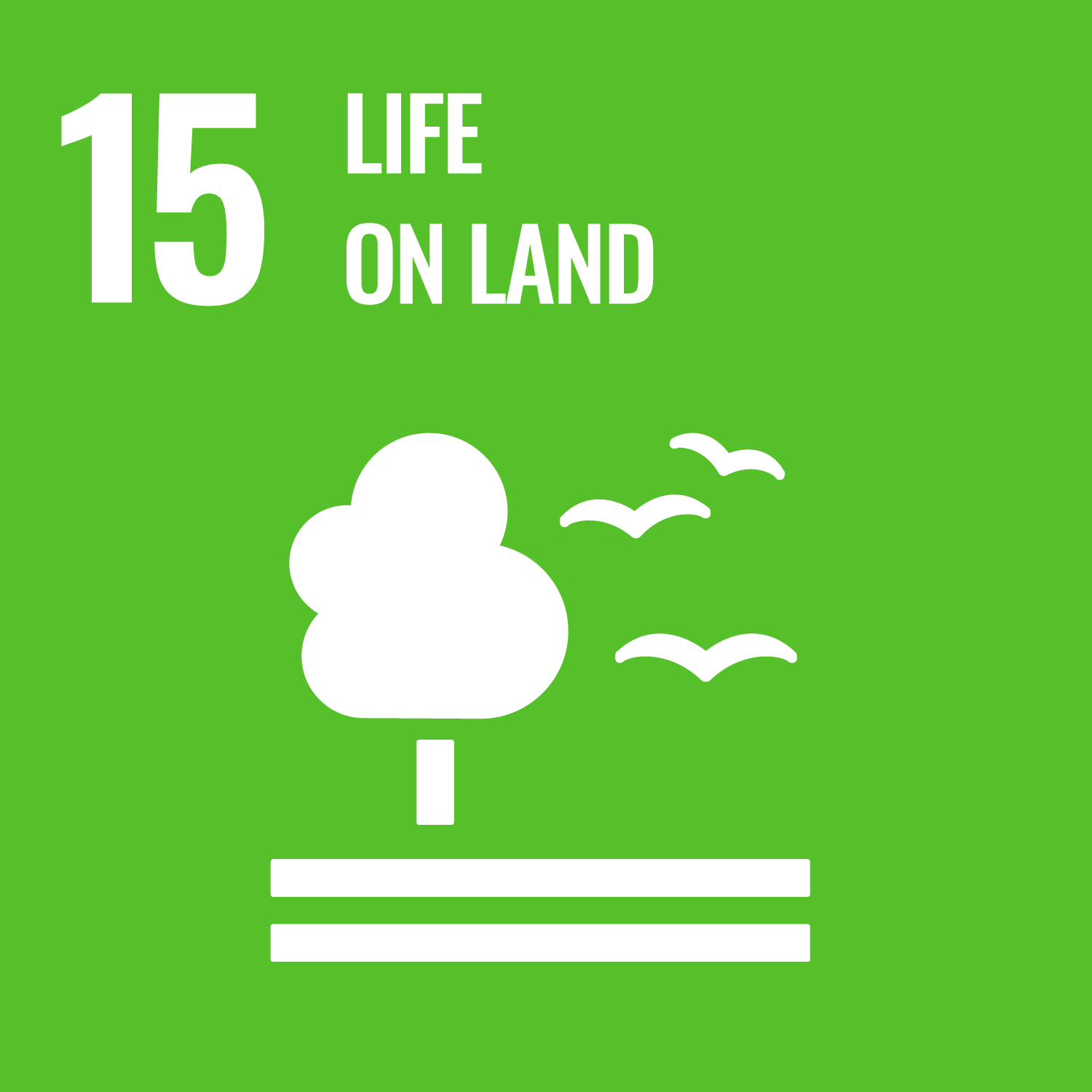 life on land sustainable development goal - tea leaf