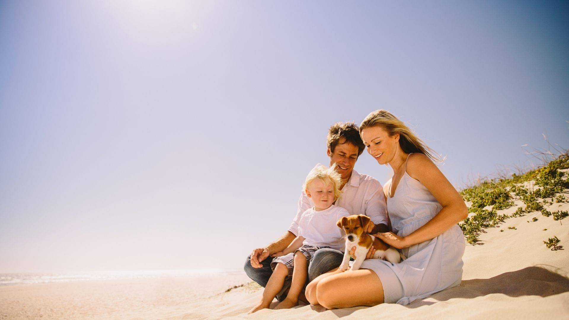 walking on the beach with pets