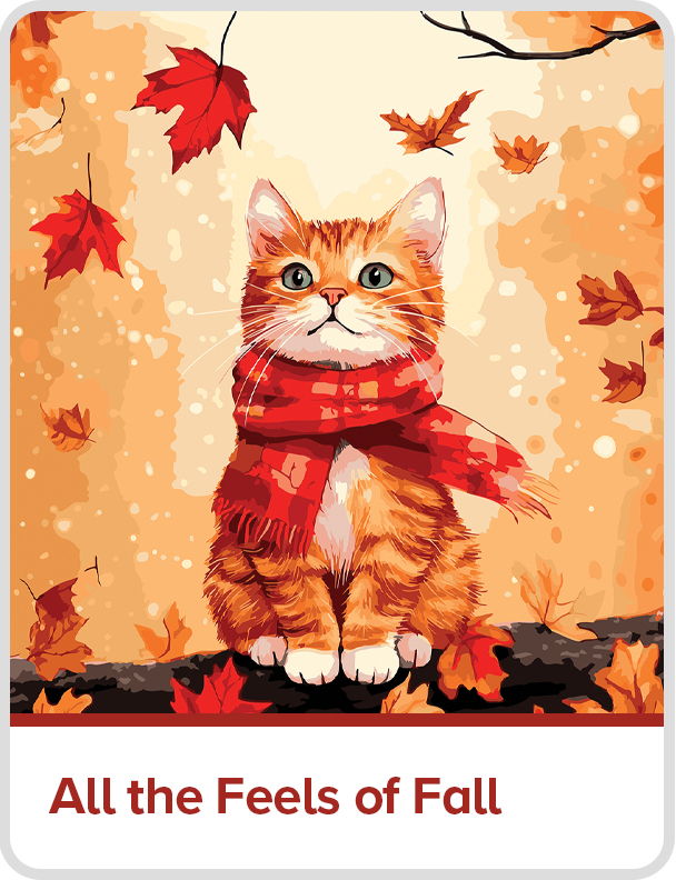 A cat wearing a scarf surrounded by autumn leaves. All the Feels of Fall