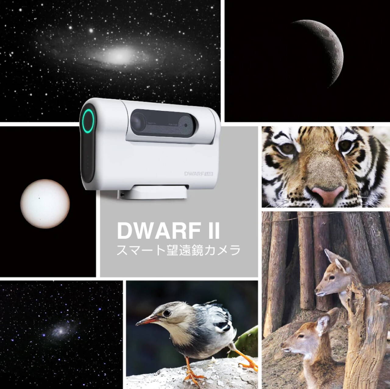 DWARF II スマート望遠鏡 Deluxe Edition 天体観測 (DWARF Ⅱ) DWARF II スマート望遠鏡 Deluxe Edition 天体観測 (DWARF Ⅱ)