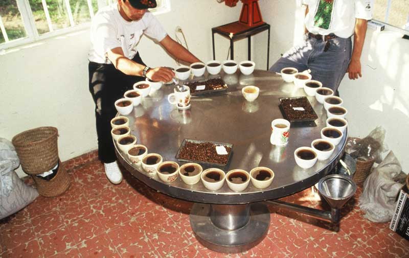 Coffee cups arranged around a circular table for tasting.