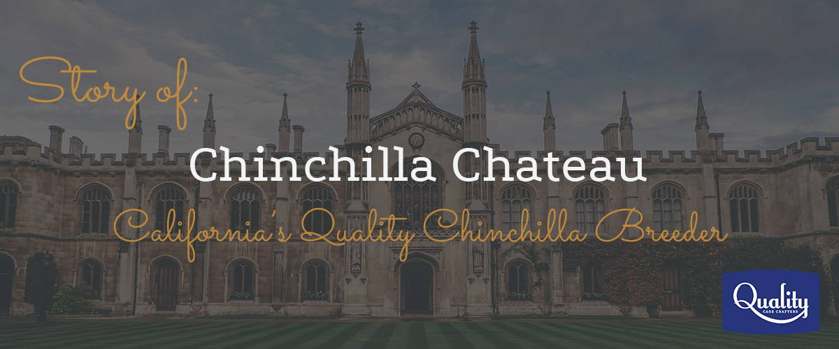 Chinchilla Chateau Image