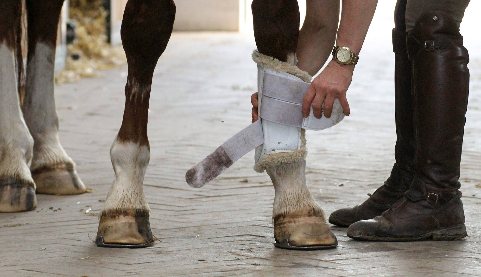 lazy one horse boots