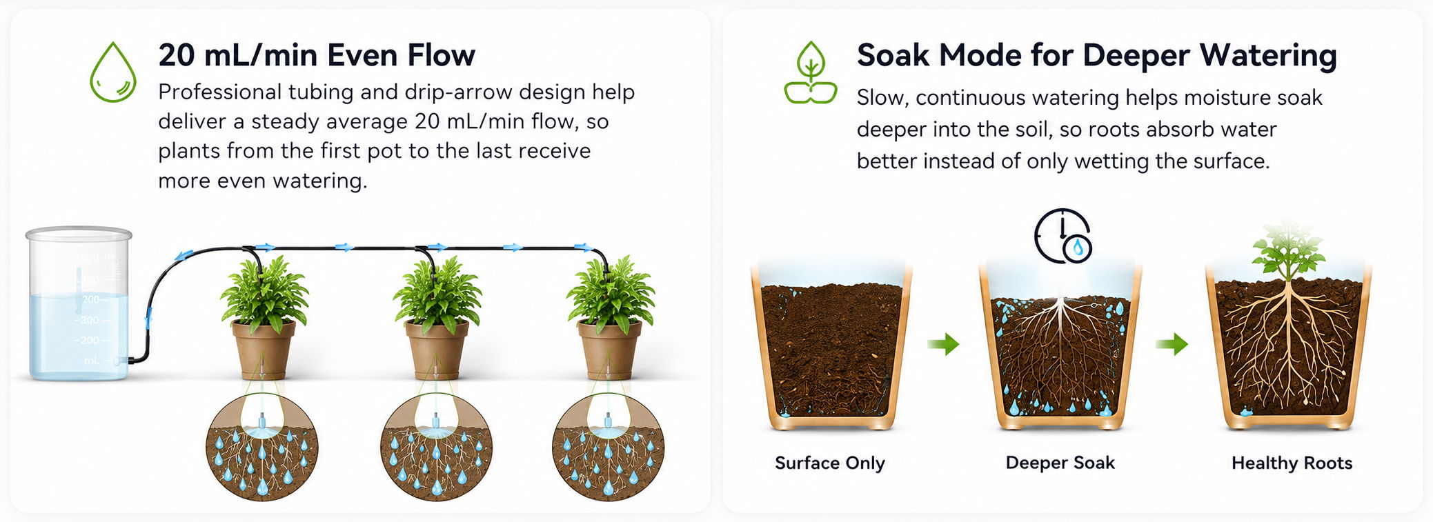 Guidelines for watering plants and ensuring proper moisture levels.