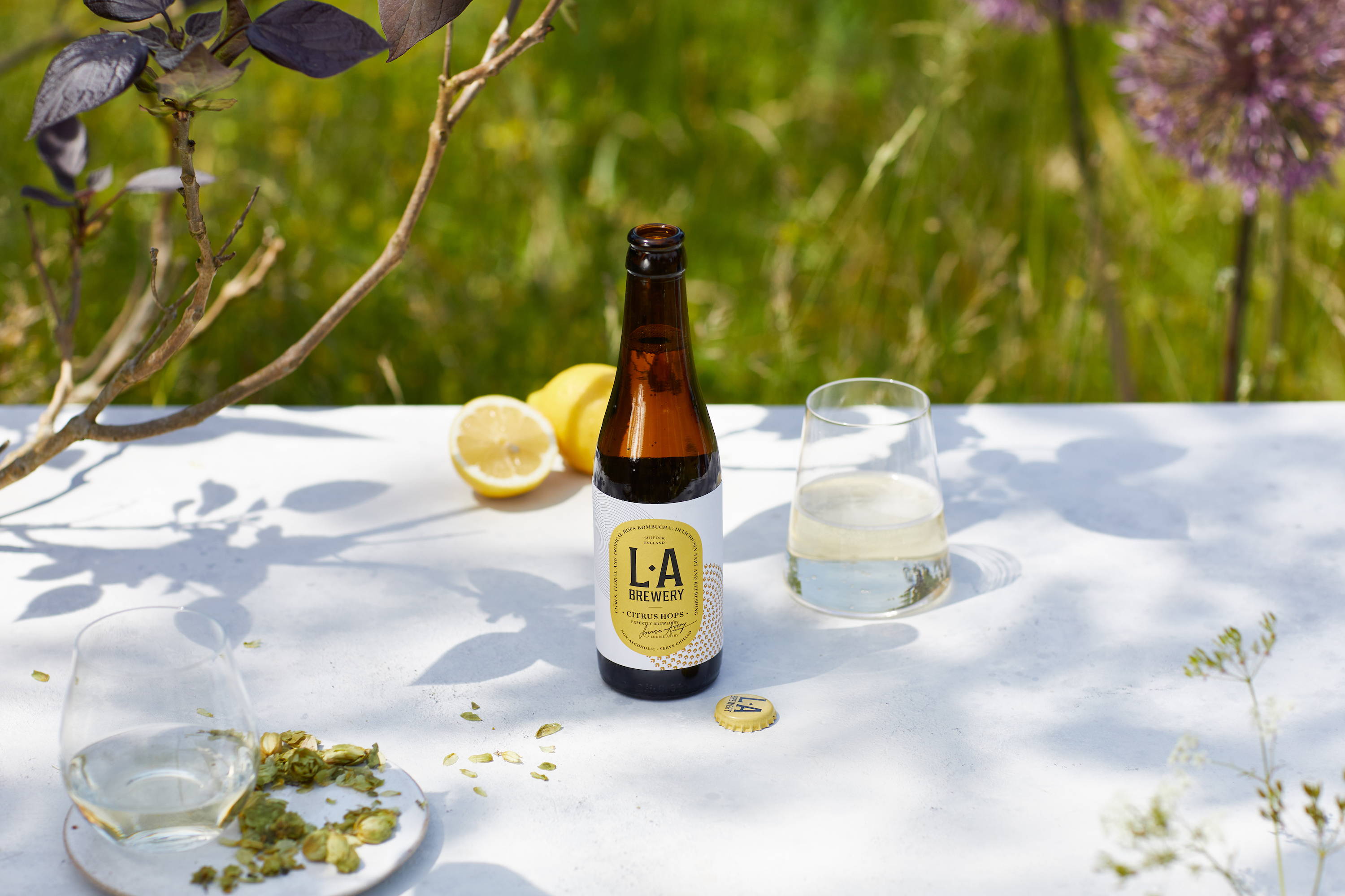 Citrus Hops Non-Alcoholic Kombucha