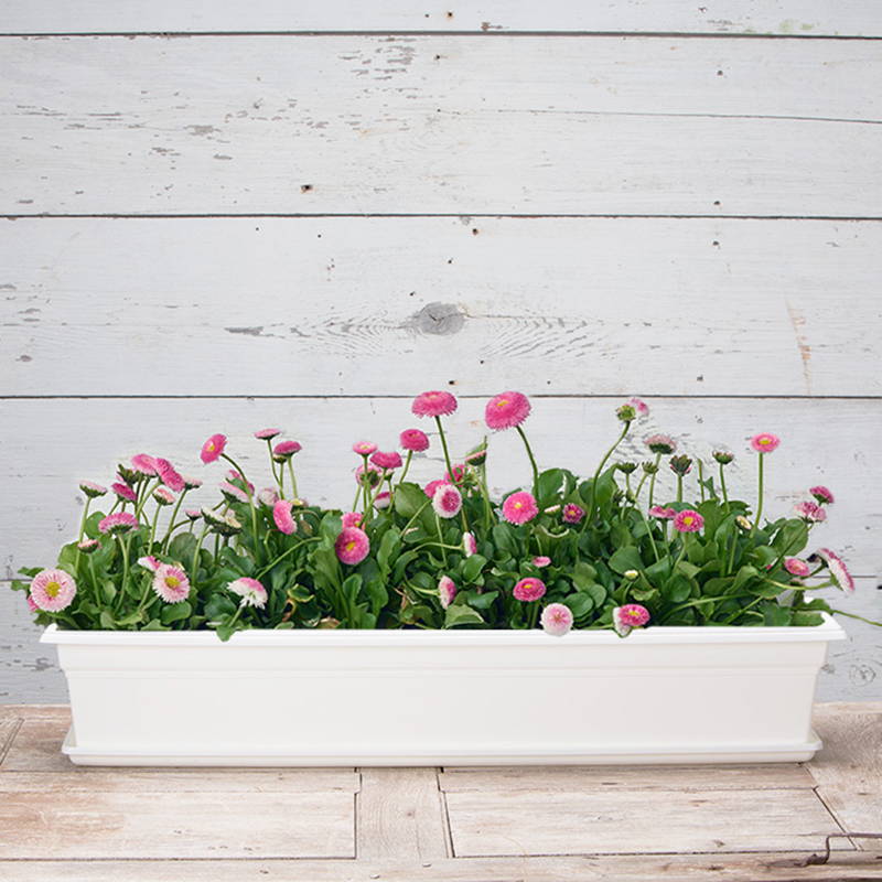 10245 No by Novelty Mfg Co Countryside Flowerbox Tray 