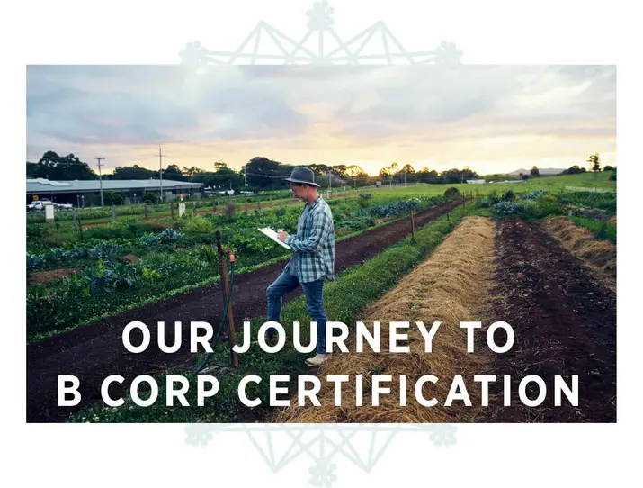 Our Journey to B Corp certification.