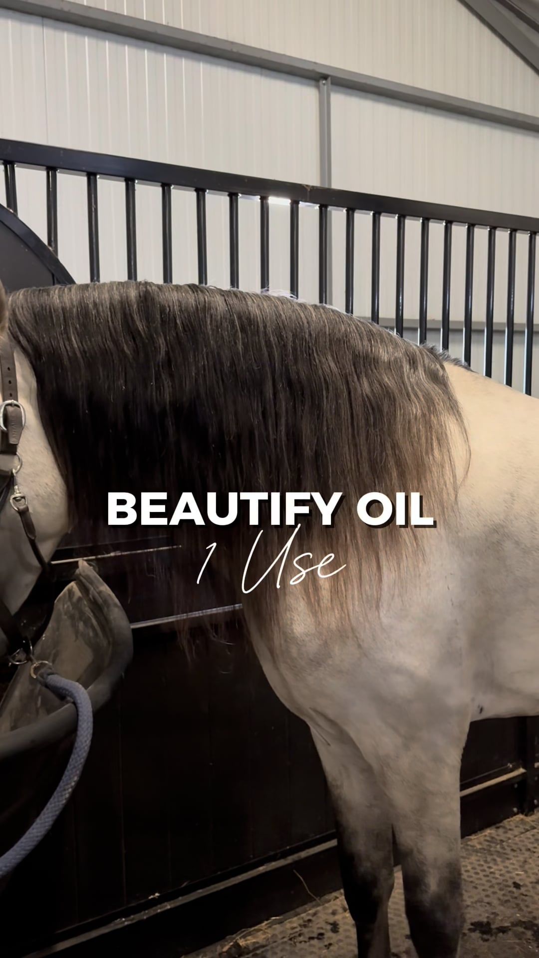 A horse with text overlay promoting beautify oil usage.