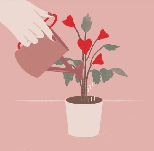 mão segurando um regador marrom, jogando água em um vaso de plantas com corações em um fundo rosa