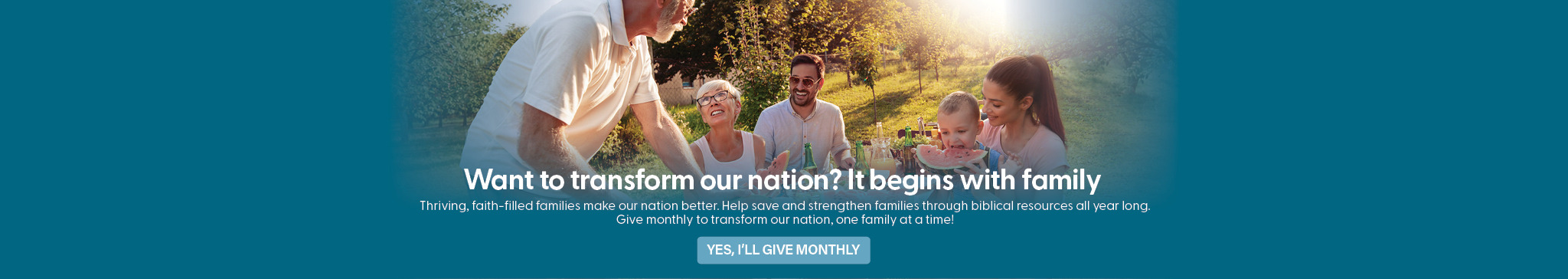 Donation Banner Desktop