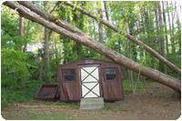 front view of tree falling on Leonard steel frame shed