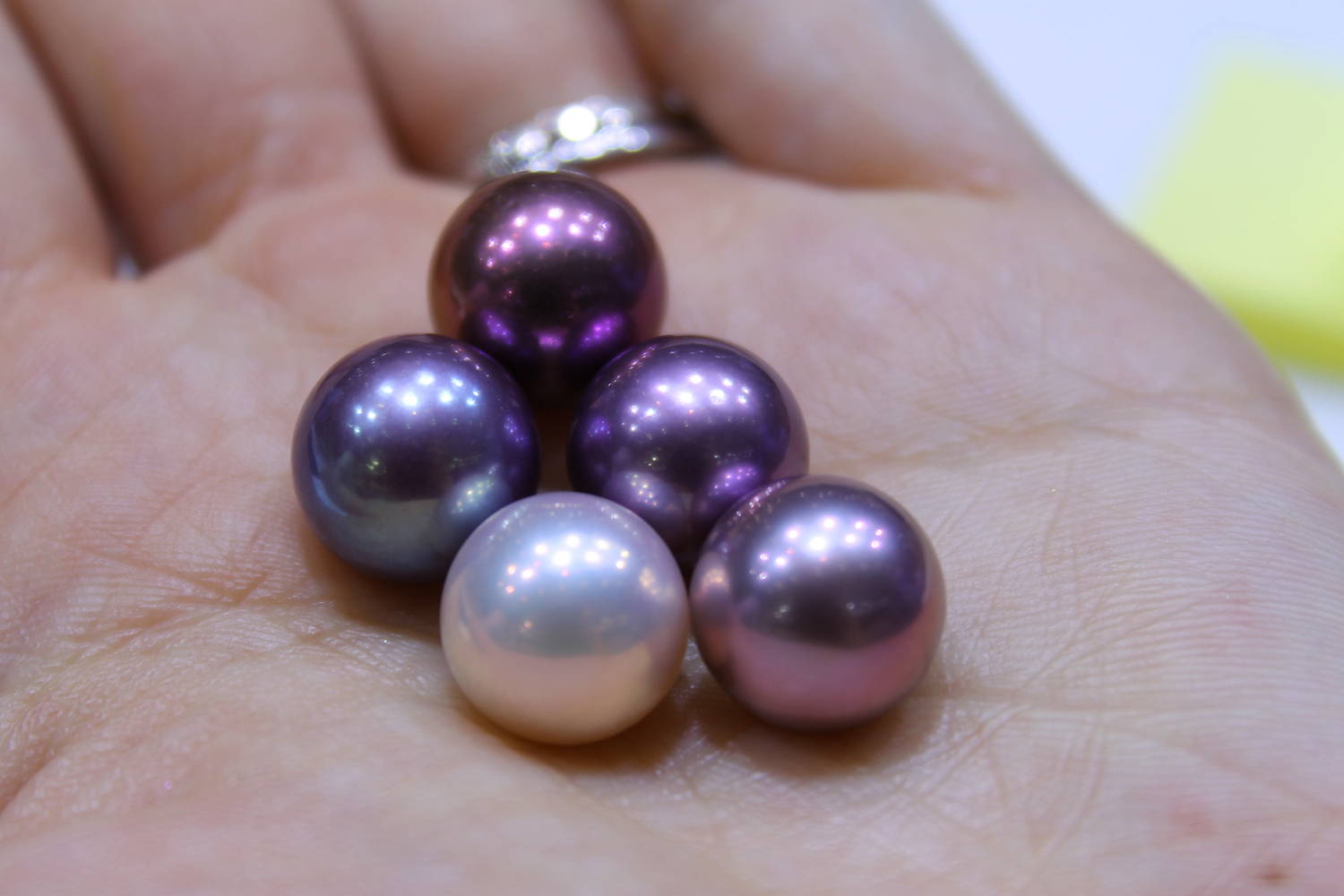 Purple and White Edison Pearls