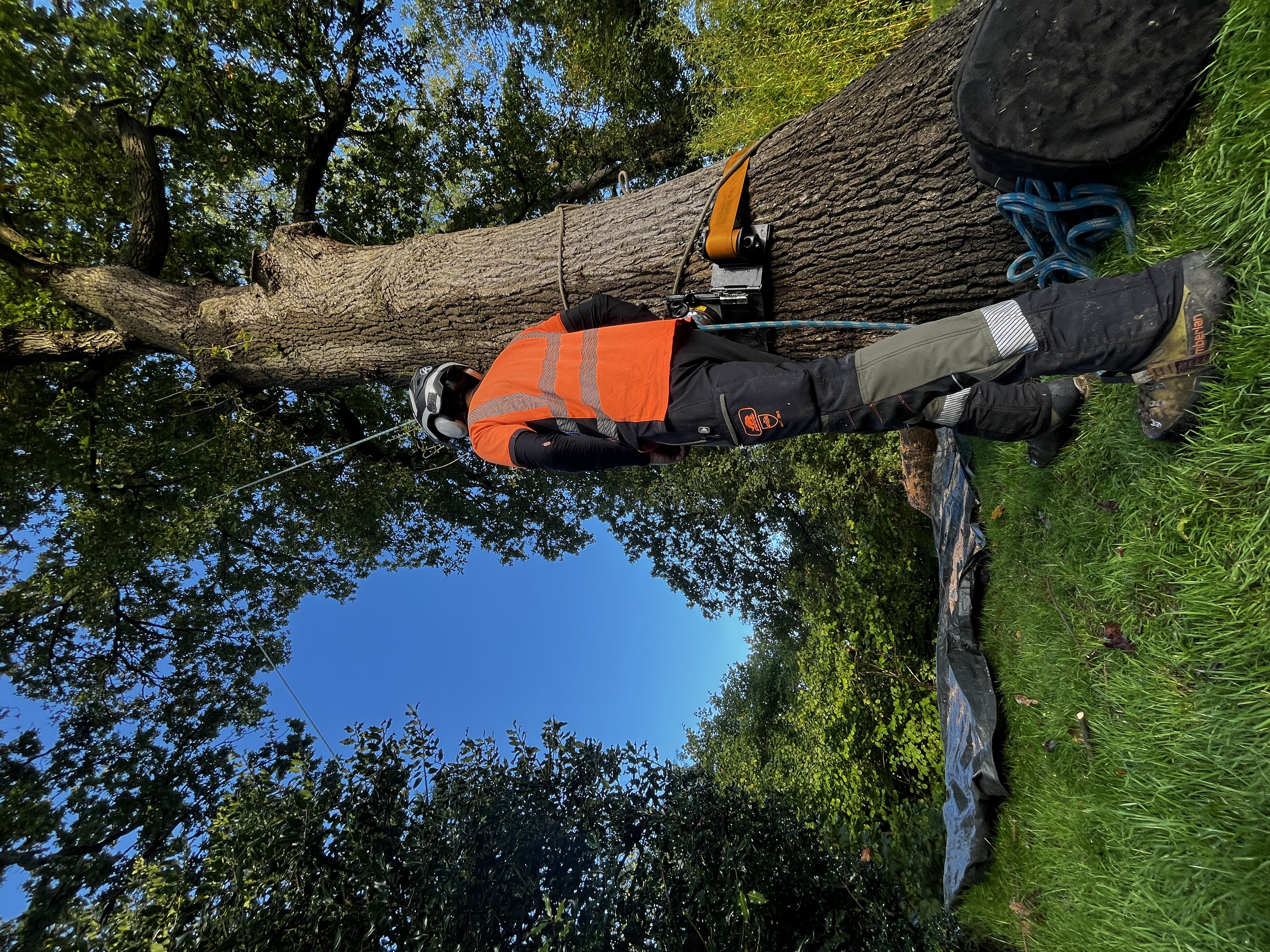 Person in safety gear preparing to climb a tree.